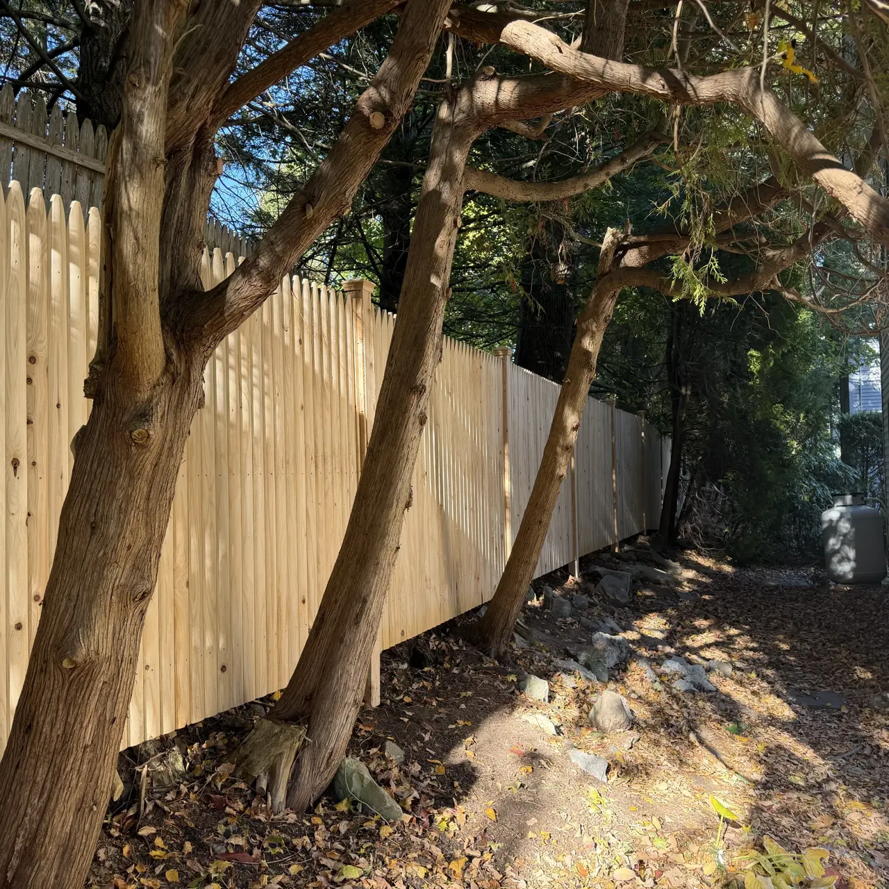 Wood privacy fence following a tree-lined boundary