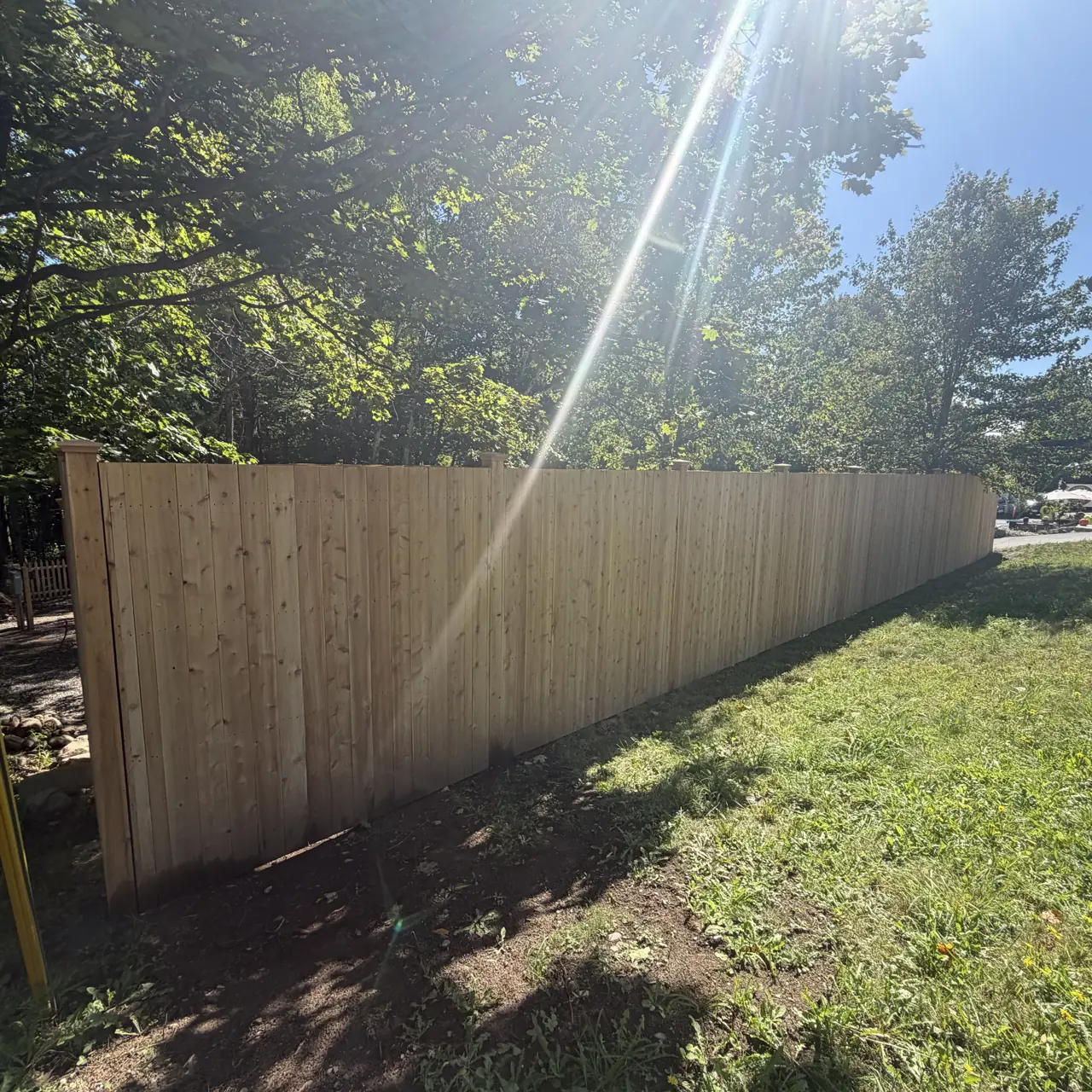 Wood privacy fence along a sunny lawn